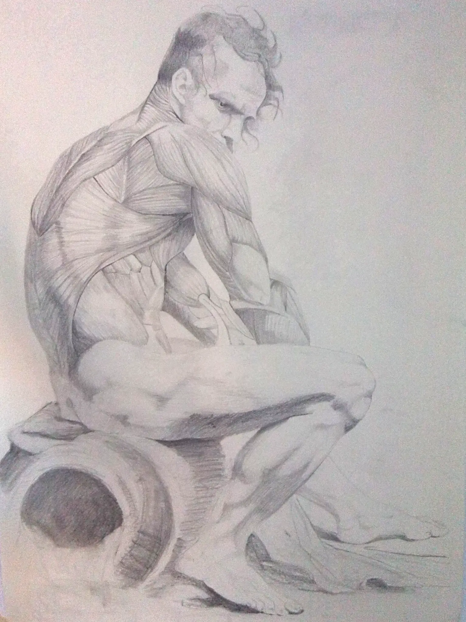 Estudio detallado de la musculatura de la espalda y brazo de una figura masculina sentada, estilo académico.